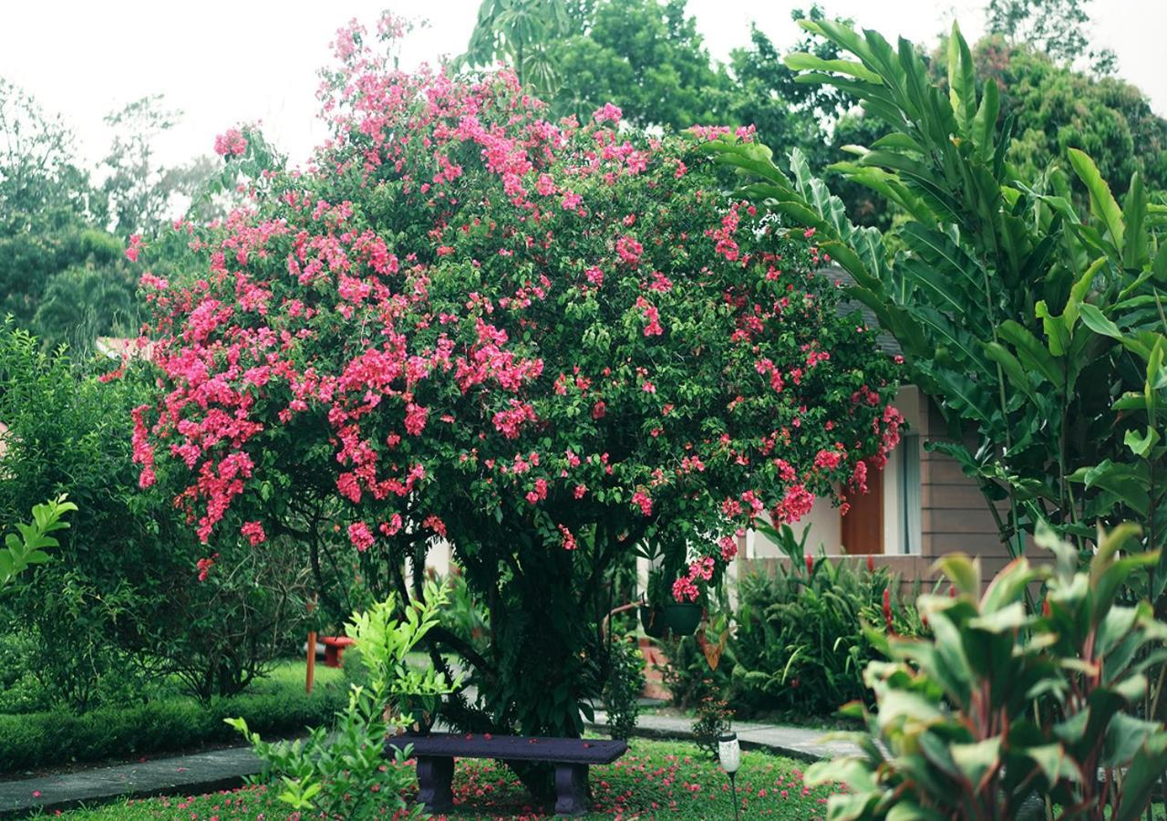 Hotel Eco Arenal La Fortuna Exterior photo
